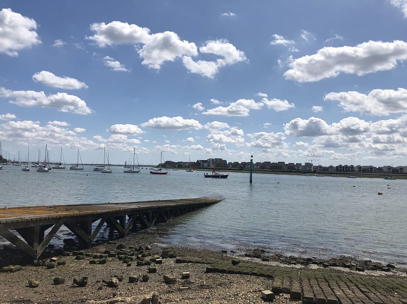 Jellyfish in Upnor