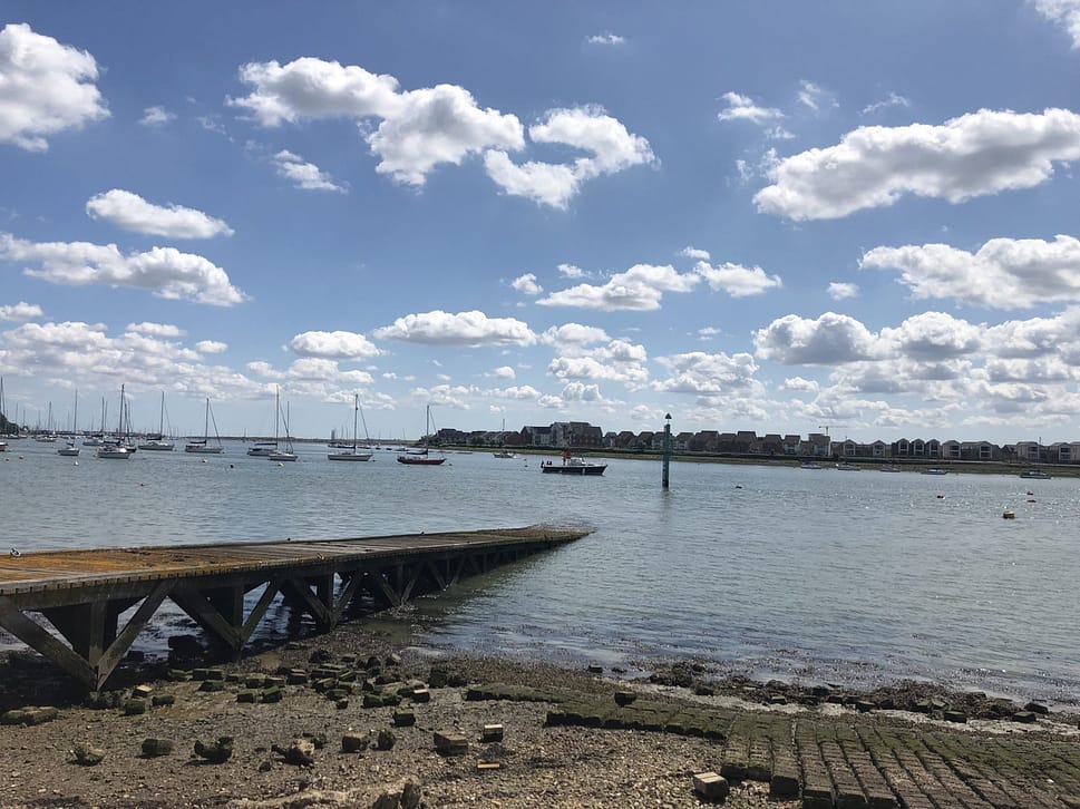 Jellyfish in Upnor