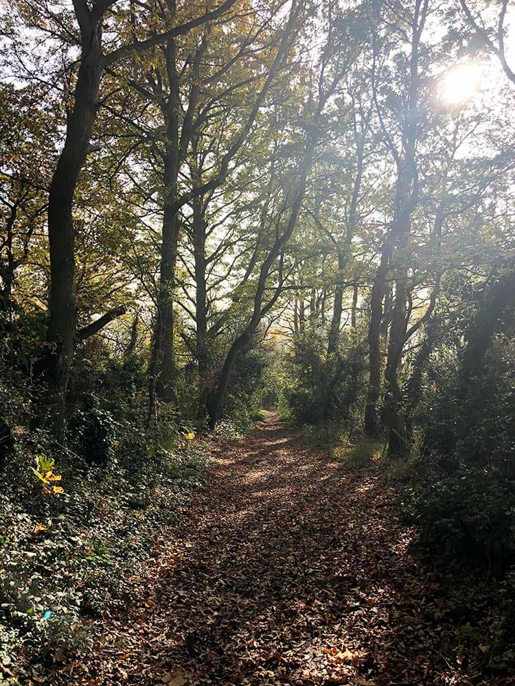Visiting Upnor parks & nearby green spaces 2 upnor parks